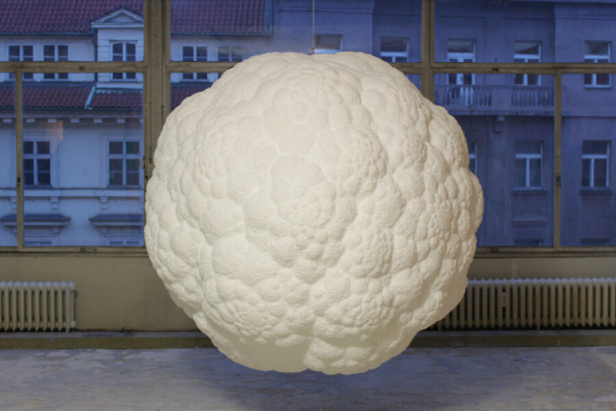 Diana Winklerová,Karfiol (Absolutní květák), 2010